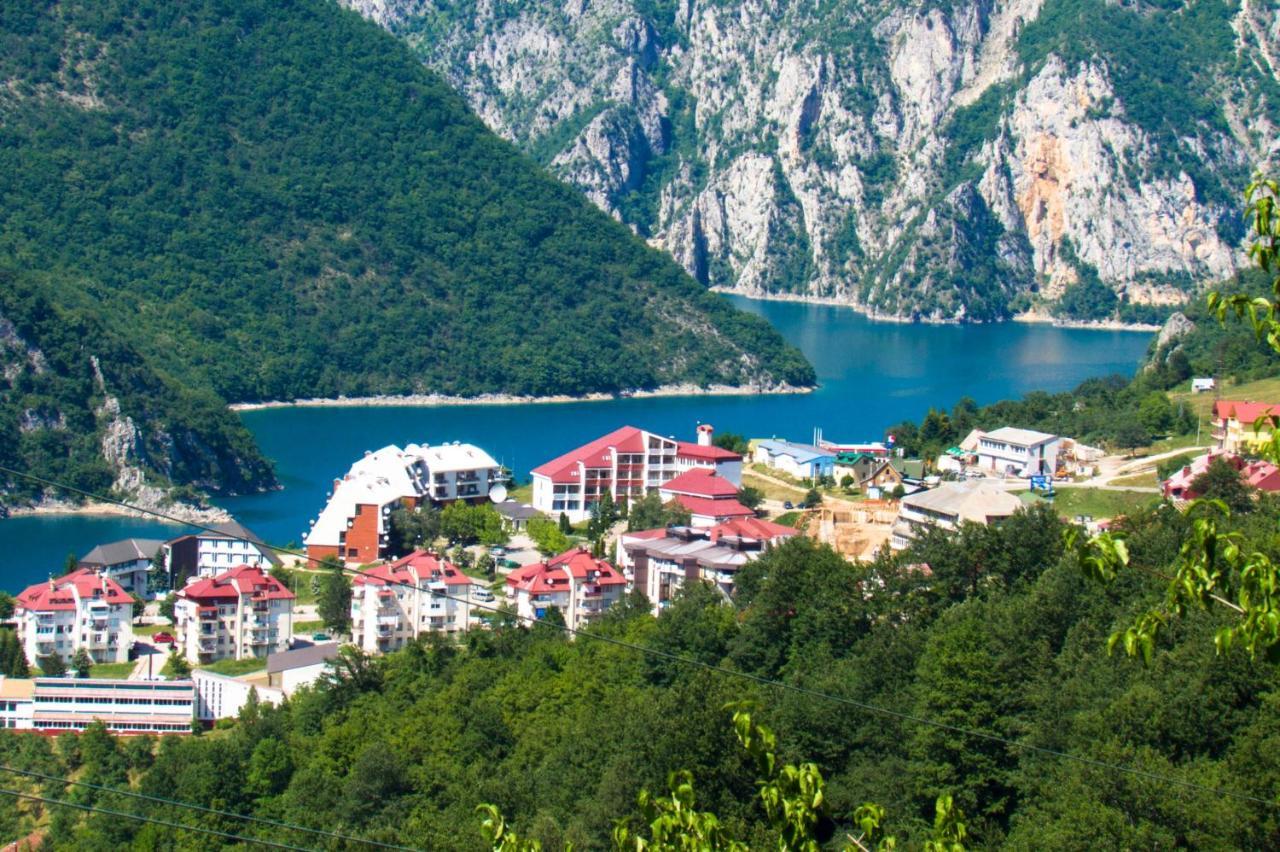 Studio Apartman D&S Plužine Eksteriør billede